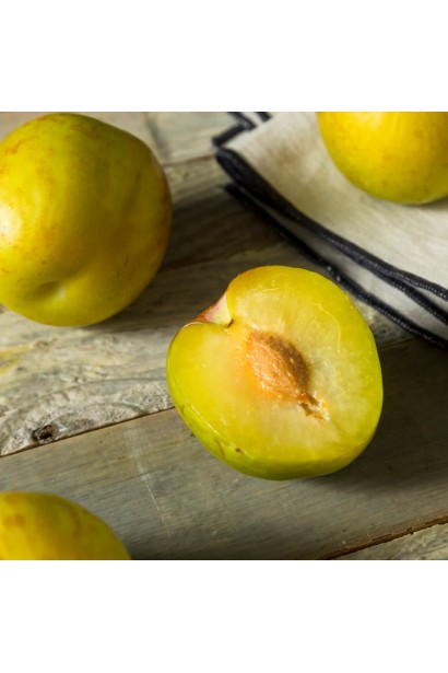 Плоди сливи Флавор Квін з янтарно-жовтою м’якоттю